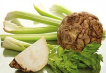 Листья, стебли черешки и корень сельдерея — полезные свойства и противопоказания, суточная норма сельдерей фото полезные свойства