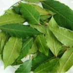 Лечебные свойства лаврового листа — рецепт для суставов рецепт лаврового листа для суставов