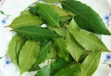 Лечебные свойства лаврового листа — рецепт для суставов рецепт лаврового листа для суставов