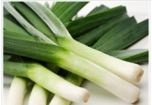 Лук-порей: польза и вред для здоровья, фото и описание лук-порей фото описание