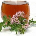 Применение приправы, настойки и эфирного масла майорана — куда добавлять майоран приправа фото