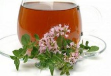 Применение приправы, настойки и эфирного масла майорана — куда добавлять майоран приправа фото