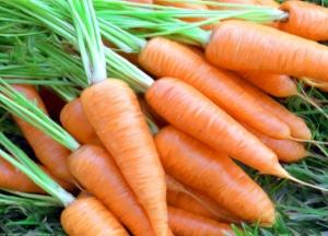 Польза и вред ботвы и сока моркови для женщин, мужчин и беременных морковь польза и вред для организма