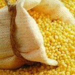 Лечения почек пшеном — рецепты народной медицины пшено для лечения почек