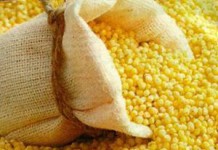 Лечения почек пшеном — рецепты народной медицины пшено для лечения почек