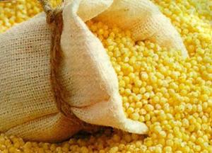 Лечения почек пшеном — рецепты народной медицины пшено для лечения почек