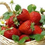 Польза и вред садовой клубники для здоровья при беременности и диабете клубника польза и вред
