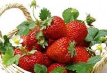 Польза и вред садовой клубники для здоровья при беременности и диабете клубника польза и вред