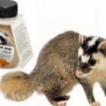 Лечебные свойства барсучьего жира — применение при кашле и противопоказания для детей барсучий жир применение при кашле