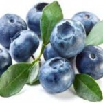 Польза и вред ягод и листьев голубики для детей и женщинам при беременности голубика польза и вред