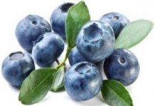 Польза и вред ягод и листьев голубики для детей и женщинам при беременности голубика польза и вред