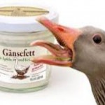 Лечебные свойства и противопоказания гусиного жира от кашля и в косметологии гусиный жир лечебные свойства и противопоказания