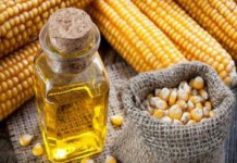 Рафинированное и нерафинированное кукурузное масло: польза и вред, лечебные свойства кукурузное масло полезные свойства и противопоказания