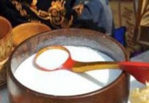 Кумыс из козьего или кобыльего молока: лечебные свойства и противопоказания полезные свойства кумыса и противопоказания