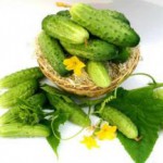 Свежие и соленые огурцы: польза и вред для организма человека и беременных Польза и вред огурцов для организма