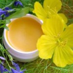 Из чего делается рыжиковое масло — польза, вред и противопоказания рыжиковое масло польза и вред как принимать