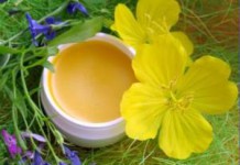 Из чего делается рыжиковое масло — польза, вред и противопоказания рыжиковое масло польза и вред как принимать