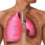 Народные средства лечения туберкулеза легких и бронхов в домашних условиях: барсучий жир, травы и другие лечение туберкулеза народными средствами в домашних условиях