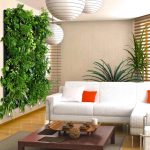 Озеленение для комнаты