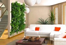 Озеленение для комнаты