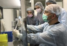 Лечение стволовыми клетками