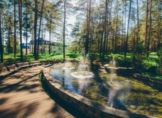 Санаторное лечение