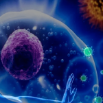 СИЛА ИММУНИТЕТА В КИСЛОРОДЕ