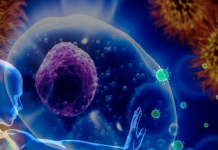 СИЛА ИММУНИТЕТА В КИСЛОРОДЕ