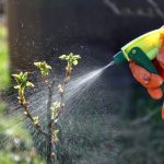 Обработка деревьев