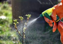 Обработка деревьев