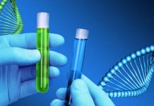 ДНК ТЕСТ НА УСТАНОВЛЕНИЕ ОТЦОВСТВА В ЕКАТЕРИНБУРГЕ