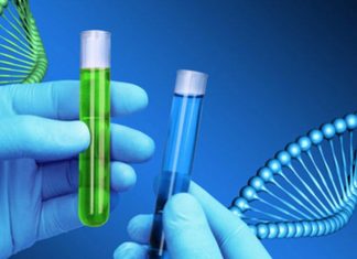 ДНК ТЕСТ НА УСТАНОВЛЕНИЕ ОТЦОВСТВА В ЕКАТЕРИНБУРГЕ