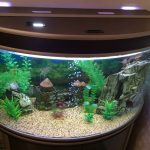 Как выбрать аквариум