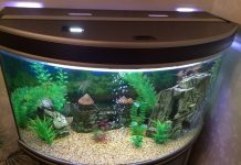 Как выбрать аквариум