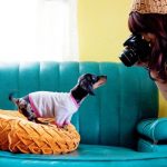 Фотосессия с домашними питомцами