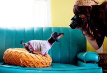 Фотосессия с домашними питомцами