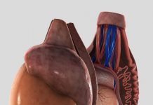 Эпидидимит: что это за болезнь и каковы причины