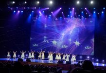 Плюсы школы эстрадного мастерства