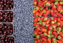 Ягодные растения: как выбрать и не ошибиться