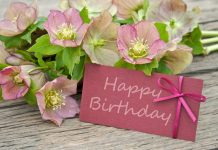 Плюсы видеопоздравлений