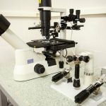 Оборудование для лабораторий ЭКО