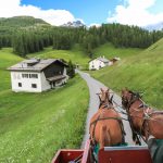 Что такое агротуризм