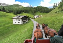 Что такое агротуризм