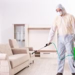 Чем опасны клопы для человека