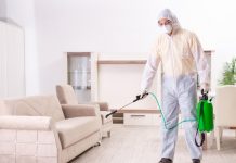 Чем опасны клопы для человека