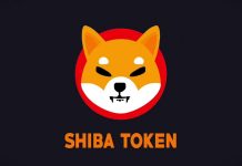 Криптовалюта Shiba Inu и что она из себя представляет