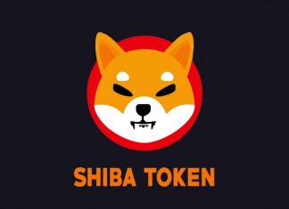 Криптовалюта Shiba Inu и что она из себя представляет