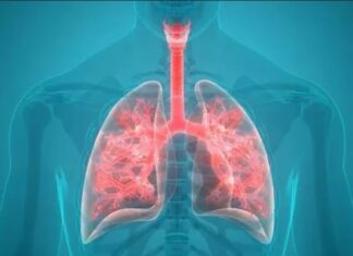 Медицинское оборудование ЛПУ, предназначенное для респираторной терапии и энтерального питания