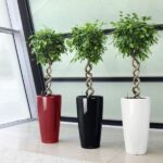 Какие бывают кашпо для цветов: формы, стили, материалы