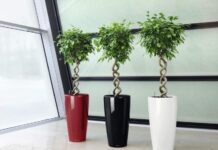 Какие бывают кашпо для цветов: формы, стили, материалы